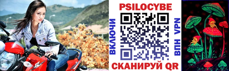 Псилоцибиновые грибы ЛСД  продажа наркотиков  KRAKEN ссылка  Курган 