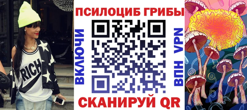 Галлюциногенные грибы Psilocybe Курган