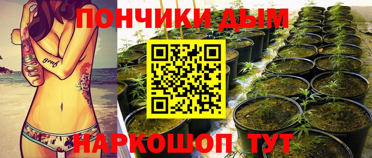 Галлюциногенные грибы Курган
